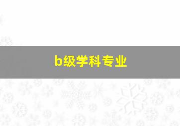 b级学科专业