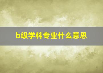 b级学科专业什么意思