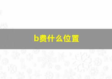 b费什么位置