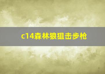 c14森林狼狙击步枪