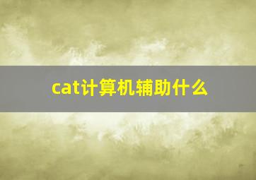 cat计算机辅助什么