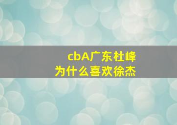 cbA广东杜峰为什么喜欢徐杰