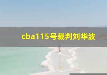 cba115号裁判刘华波