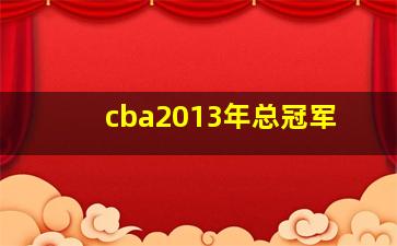 cba2013年总冠军