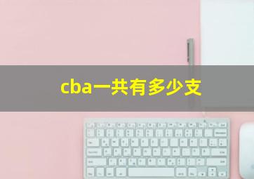 cba一共有多少支