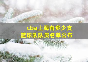 cba上海有多少支篮球队队员名单公布