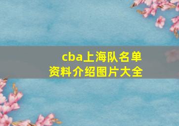 cba上海队名单资料介绍图片大全