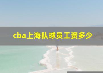 cba上海队球员工资多少