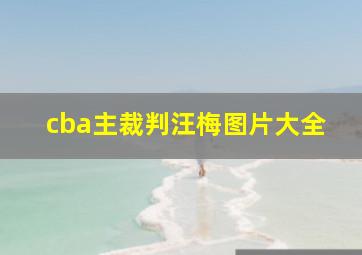 cba主裁判汪梅图片大全