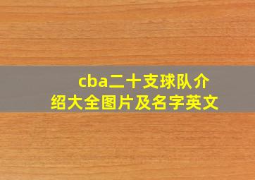 cba二十支球队介绍大全图片及名字英文