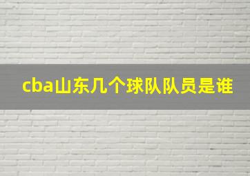 cba山东几个球队队员是谁