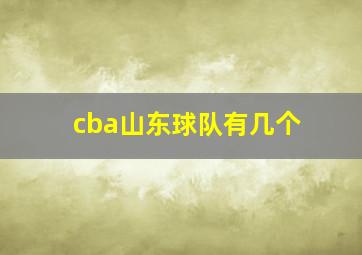 cba山东球队有几个