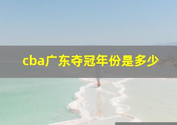 cba广东夺冠年份是多少