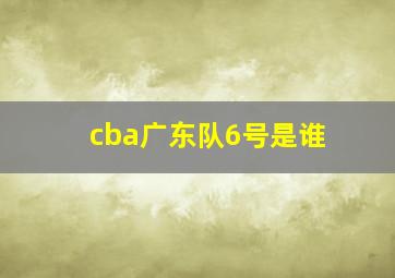 cba广东队6号是谁