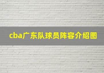 cba广东队球员阵容介绍图