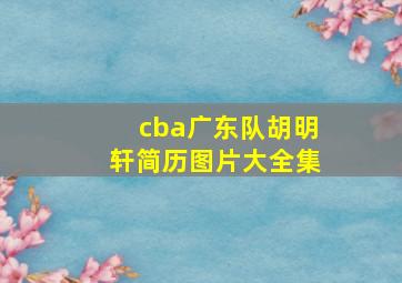 cba广东队胡明轩简历图片大全集