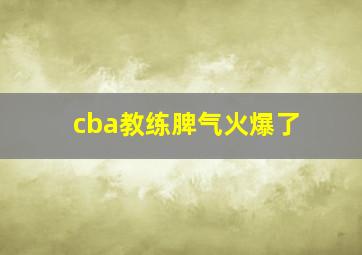 cba教练脾气火爆了