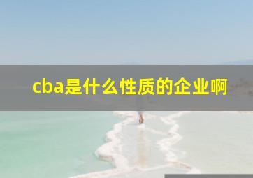 cba是什么性质的企业啊