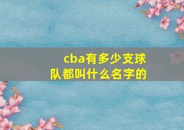 cba有多少支球队都叫什么名字的