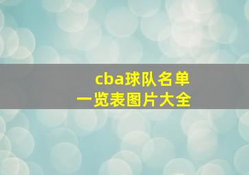 cba球队名单一览表图片大全