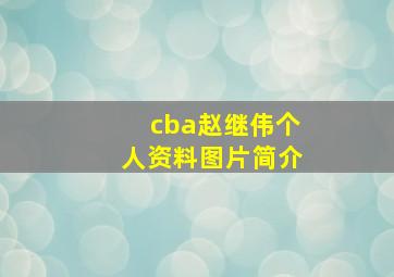 cba赵继伟个人资料图片简介