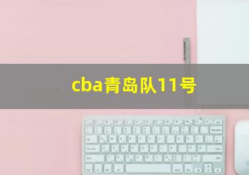 cba青岛队11号