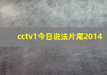 cctv1今日说法片尾2014