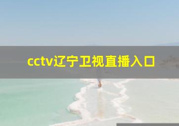 cctv辽宁卫视直播入口