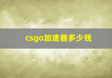 csgo加速器多少钱