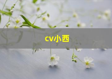 cv小西