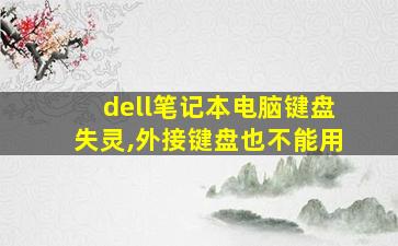 dell笔记本电脑键盘失灵,外接键盘也不能用