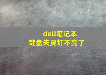 dell笔记本键盘失灵灯不亮了