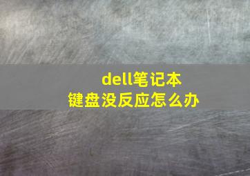 dell笔记本键盘没反应怎么办