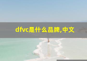 dfvc是什么品牌,中文