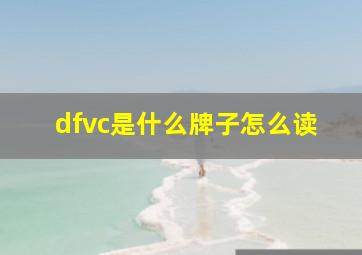 dfvc是什么牌子怎么读