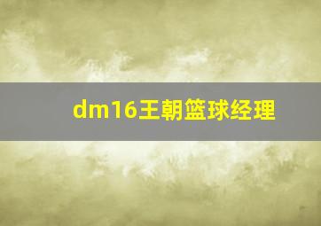 dm16王朝篮球经理