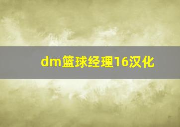 dm篮球经理16汉化