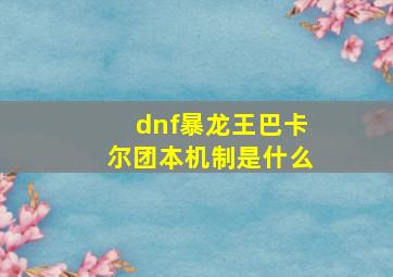 dnf暴龙王巴卡尔团本机制是什么