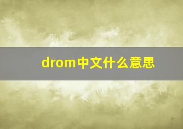 drom中文什么意思