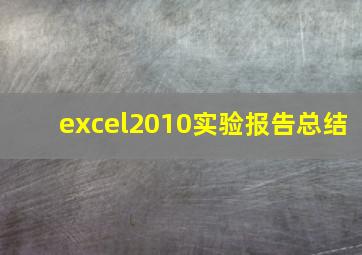 excel2010实验报告总结