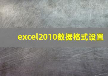 excel2010数据格式设置