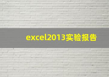 excel2013实验报告