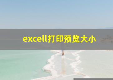 excell打印预览大小