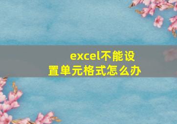 excel不能设置单元格式怎么办