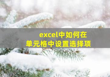 excel中如何在单元格中设置选择项