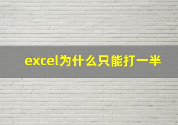 excel为什么只能打一半