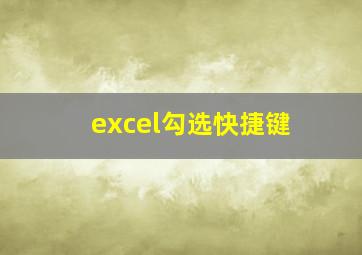 excel勾选快捷键