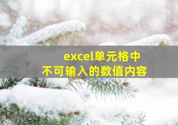 excel单元格中不可输入的数值内容