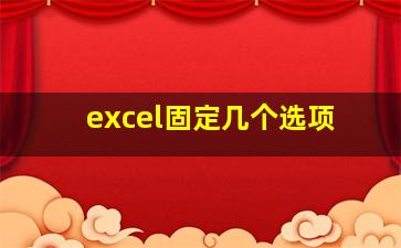 excel固定几个选项