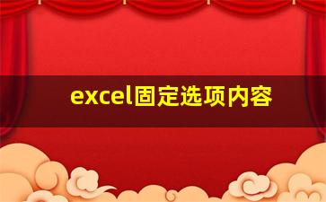 excel固定选项内容